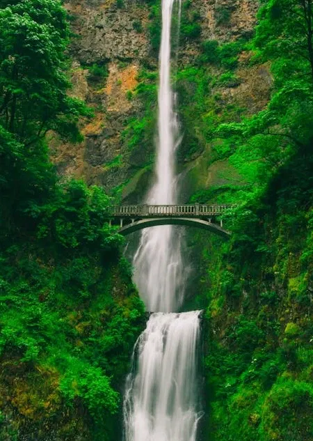 Book a call with CA Piyush Nagdewani on sprect.