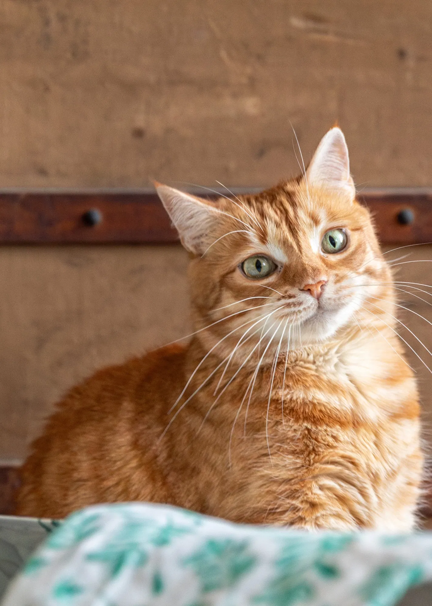 Book a call with Neera Inamdar on sprect.