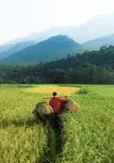 Book a call with Bharat Kandoi on sprect.