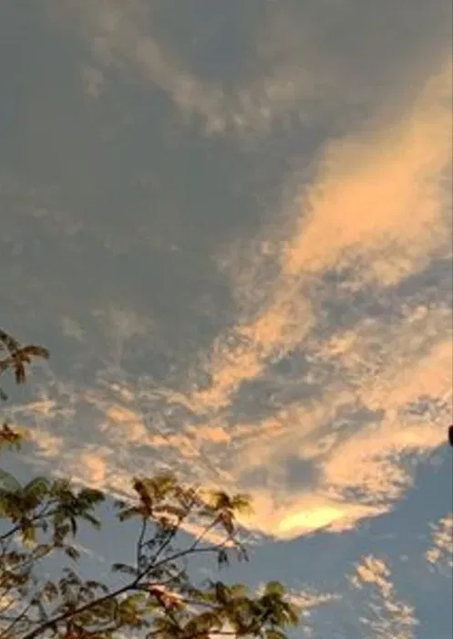 Book a call with Radheshyam Prajapati on sprect.