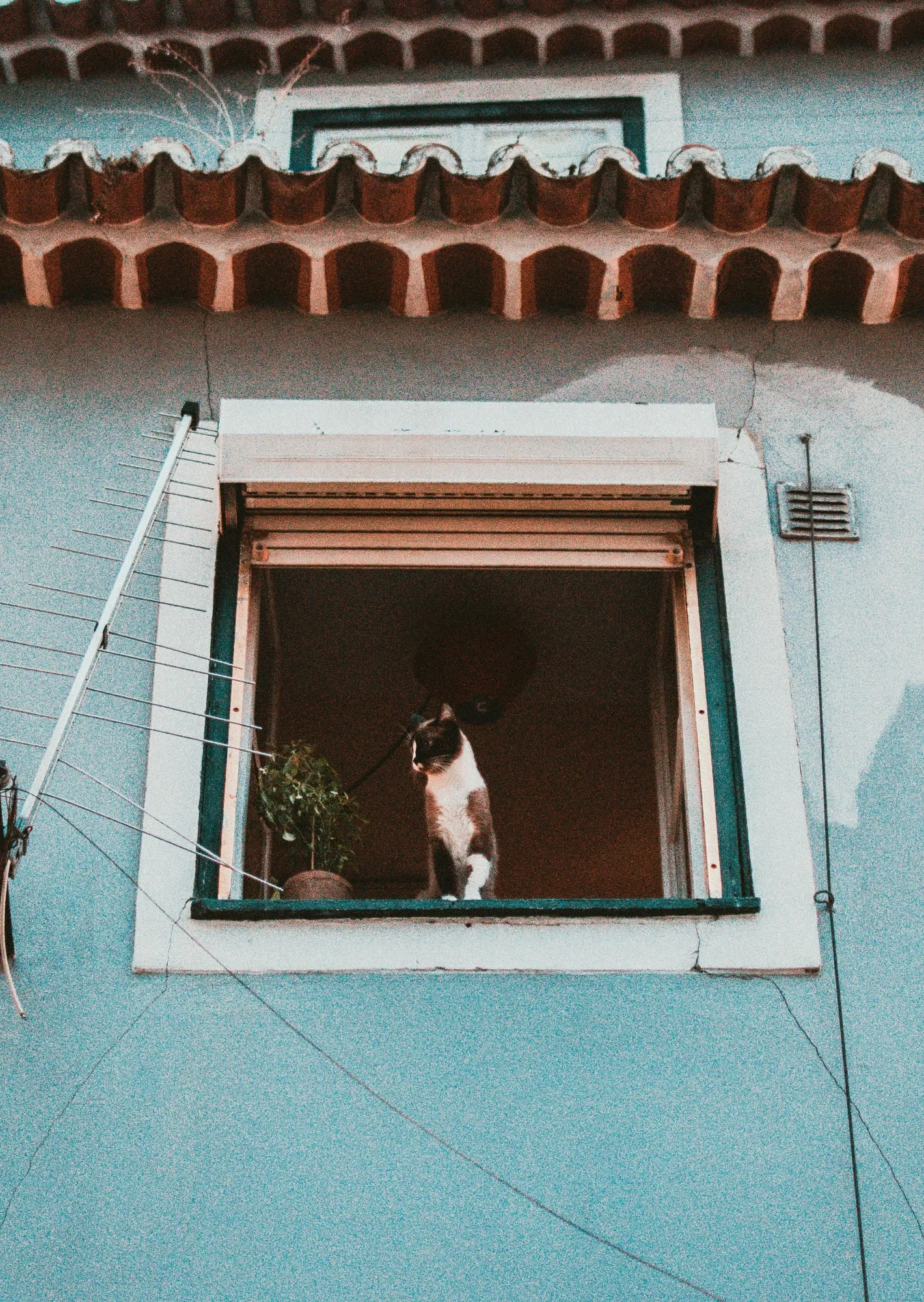 Book a call with Jumana Nagree on sprect.