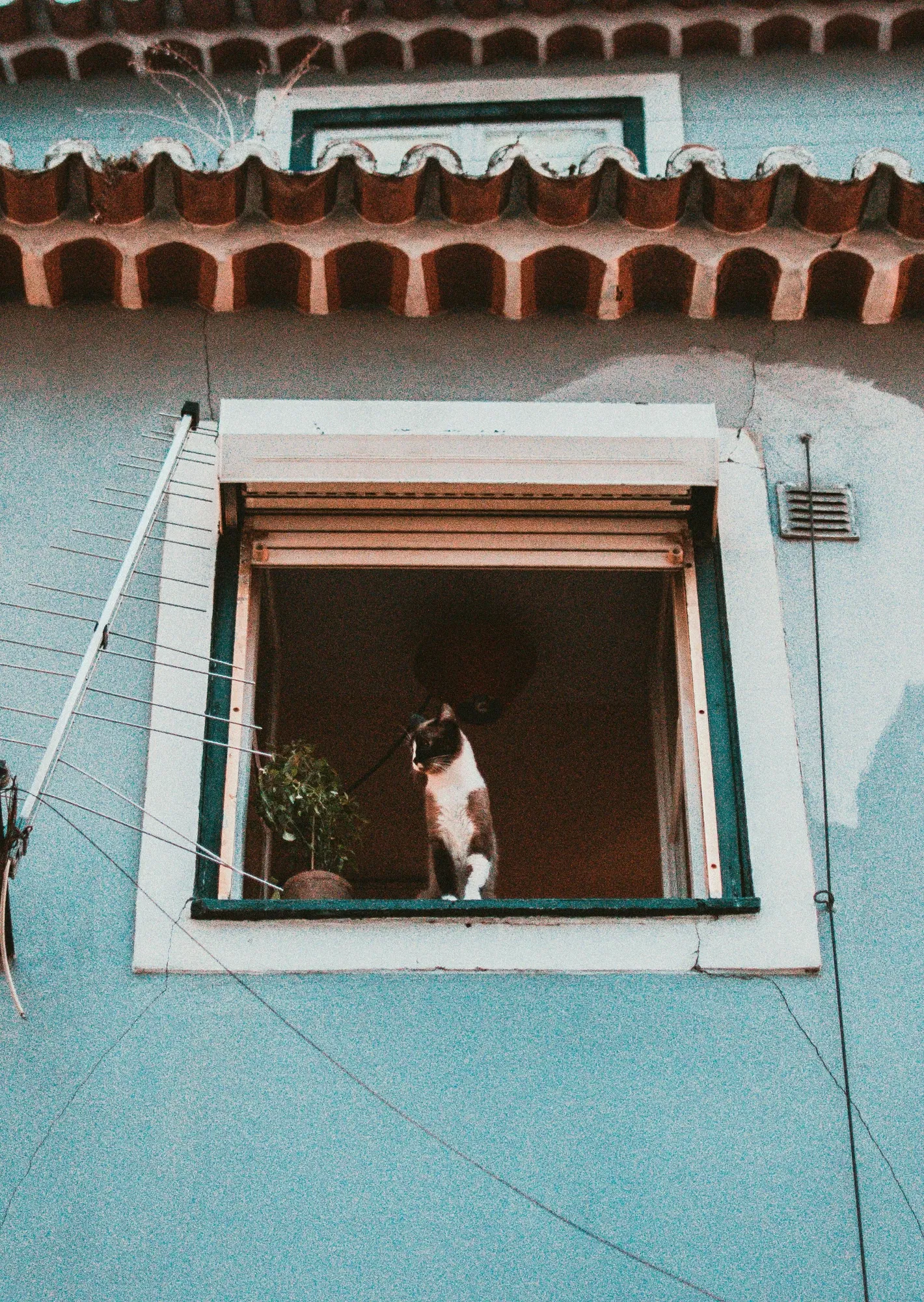 Book a call with Anisha Jain on sprect.